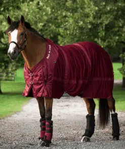 Horse Rugs