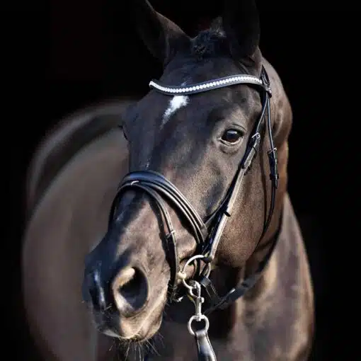 HVP Bridle Legacy deluxe Black 2 scaled