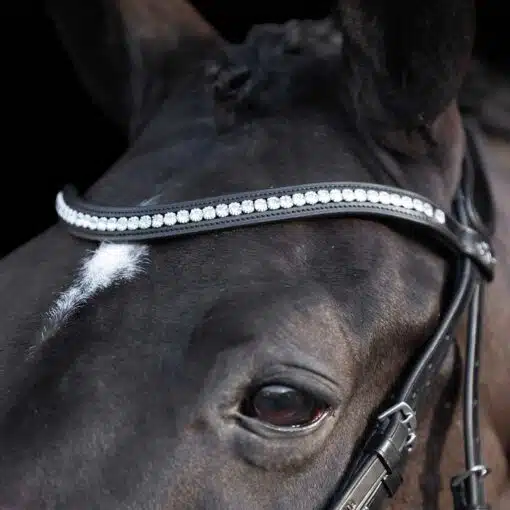 HVP Bridle Legacy deluxe Black 4 scaled