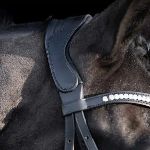 HVP Bridle Legacy deluxe Black 5 scaled