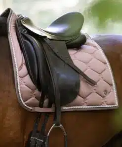 Dressage