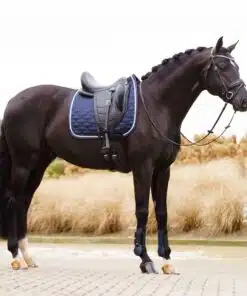 IRH Saddlepad Lenny DR Navy 4 scaled