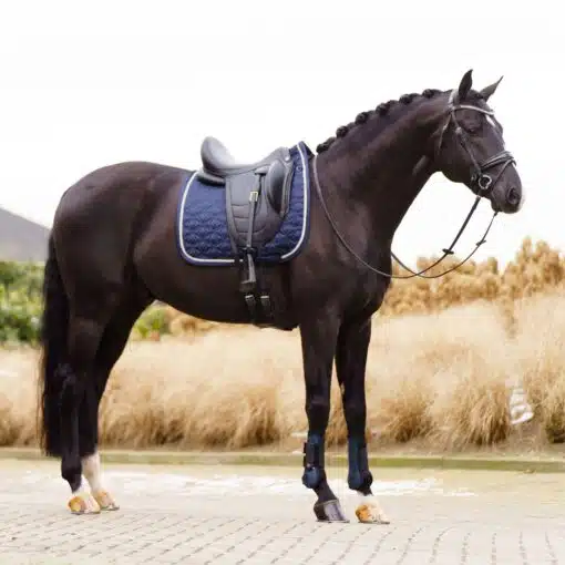 IRH Saddlepad Lenny DR Navy 4 scaled