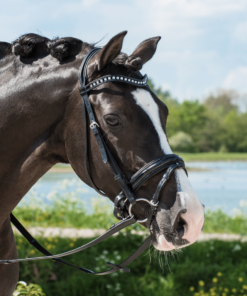 Snaffle Bridles
