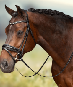 Bridles & Bits