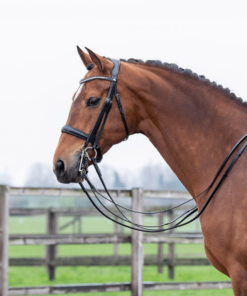 Double Bridles
