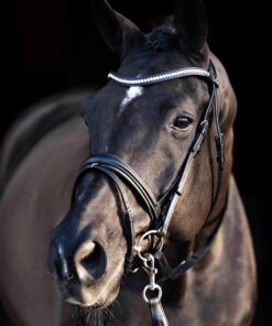 Alternative view of HV Polo Bridle Legacy deluxe