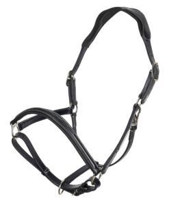 Alternative view of HV Polo halter Legacy
