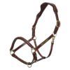 HV Polo halter Legacy