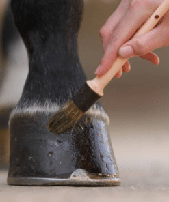 Hoof Care