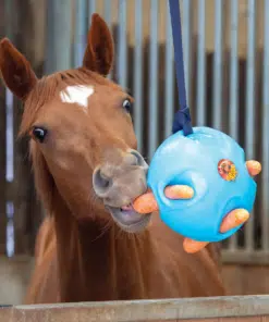 Toys for Horses