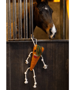 Alternative view of Excellent Horse Foodie Friends Carrot