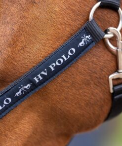 Basic headcollar with logo tape and neoprene padding