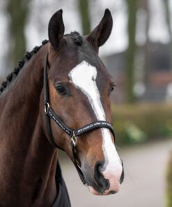 Basic headcollar with logo tape and neoprene padding