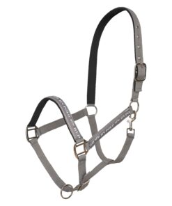 Basic headcollar with logo tape and neoprene padding