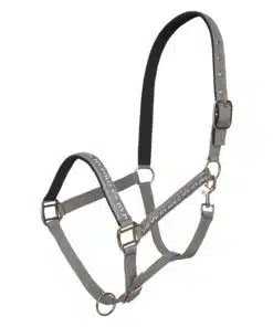 Basic headcollar with logo tape and neoprene padding