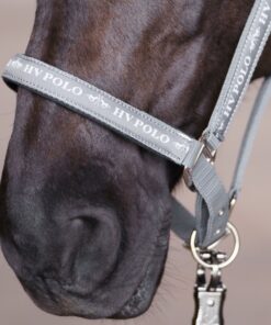Basic headcollar with logo tape and neoprene padding