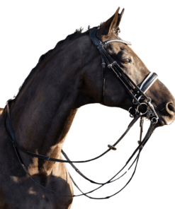 HV Polo kangvaljad Legacy Deluxe, pehme nahk, kaunistatud kristallidega.