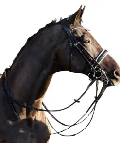 HV Polo kangvaljad Legacy Deluxe, pehme nahk, kaunistatud kristallidega.