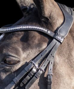 HV Polo kangvaljad Legacy Deluxe, pehme nahk, kaunistatud kristallidega.