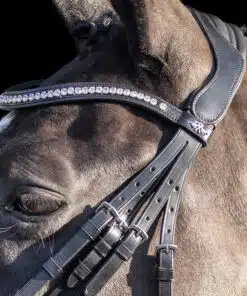 HV Polo kangvaljad Legacy Deluxe, pehme nahk, kaunistatud kristallidega.