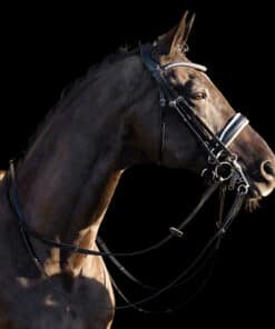 HV Polo kangvaljad Legacy Deluxe, pehme nahk, kaunistatud kristallidega.