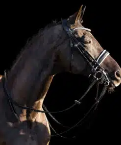 HV Polo kangvaljad Legacy Deluxe, pehme nahk, kaunistatud kristallidega.