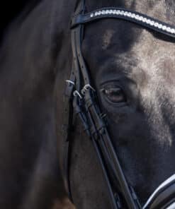 HV Polo kangvaljad Legacy Deluxe, pehme nahk, kaunistatud kristallidega.