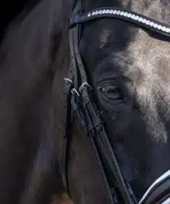 HV Polo kangvaljad Legacy Deluxe, pehme nahk, kaunistatud kristallidega.