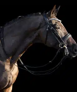 HV Polo kangvaljad Legacy Deluxe, pehme nahk, kaunistatud kristallidega.