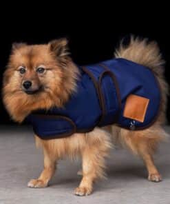Alternative view of HV Polo Dog coat Puck