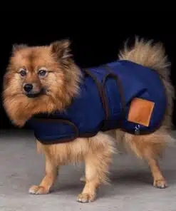 Alternative view of HV Polo Dog coat Puck