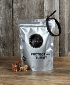 Chia de Gracia Protect That Tummy for Dogs looduslik toidusegu koertele kõhu ja soolestiku kaitseks