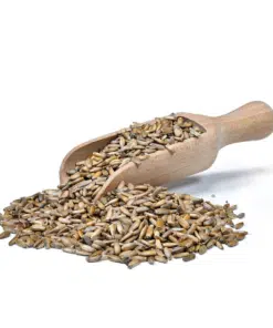 Alternative view of Chia de Gracia Milk Thistle seed