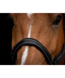 Excellent helkurpäitsed Superior - pehmed ja vastupidavad