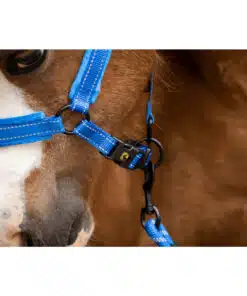 Excellent helkurpäitsed Superior - pehmed ja vastupidavad