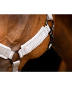 Excellent helkurpäitsed Superior - pehmed ja vastupidavad