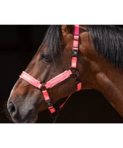 Excellent helkurpäitsed Superior - pehmed ja vastupidavad