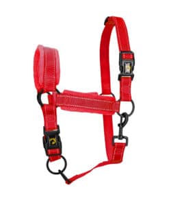 Excellent helkurpäitsed Superior - pehmed ja vastupidavad