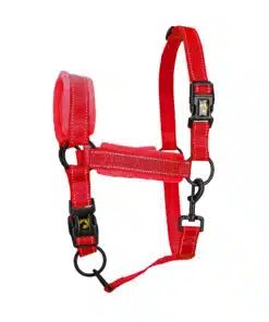 Excellent helkurpäitsed Superior - pehmed ja vastupidavad