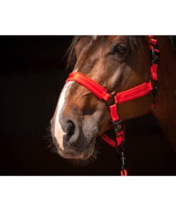 Excellent helkurpäitsed Superior - pehmed ja vastupidavad