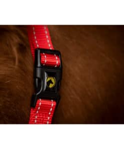 Excellent helkurpäitsed Superior - pehmed ja vastupidavad