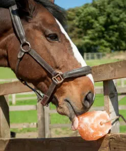 Himaalaja soolakivi hobustele - Excellent Horse