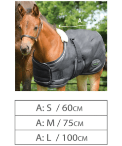 Foal Blanket Size