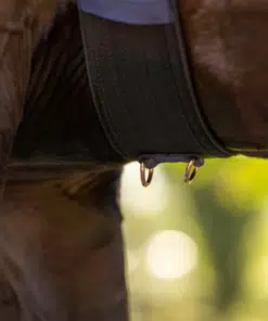 Imperial Riding kordetamise sedelgas Deluxe – kvaliteetne nailonist ja neopreenvoodriga kordetamisvahend