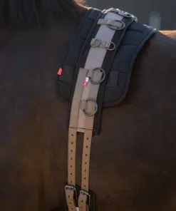 Imperial Riding kordetamise sedelgas Deluxe – kvaliteetne nailonist ja neopreenvoodriga kordetamisvahend