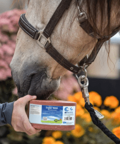 Imima Lakukivi SuperMag – magneesiumi, kaltsiumi ja fosforiga lakukivi hobustele.