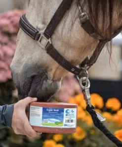 Imima Lakukivi SuperMag – magneesiumi, kaltsiumi ja fosforiga lakukivi hobustele.