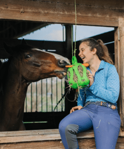 Jolly Hay Ball – interaktiivne heinapall hobustele igavuse peletamiseks