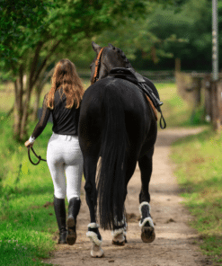 Lami-Celli Comfort Bamboo tagajalakaitsmed hobusele, bambussöe tehnoloogia ja kunstlambakarvaga.